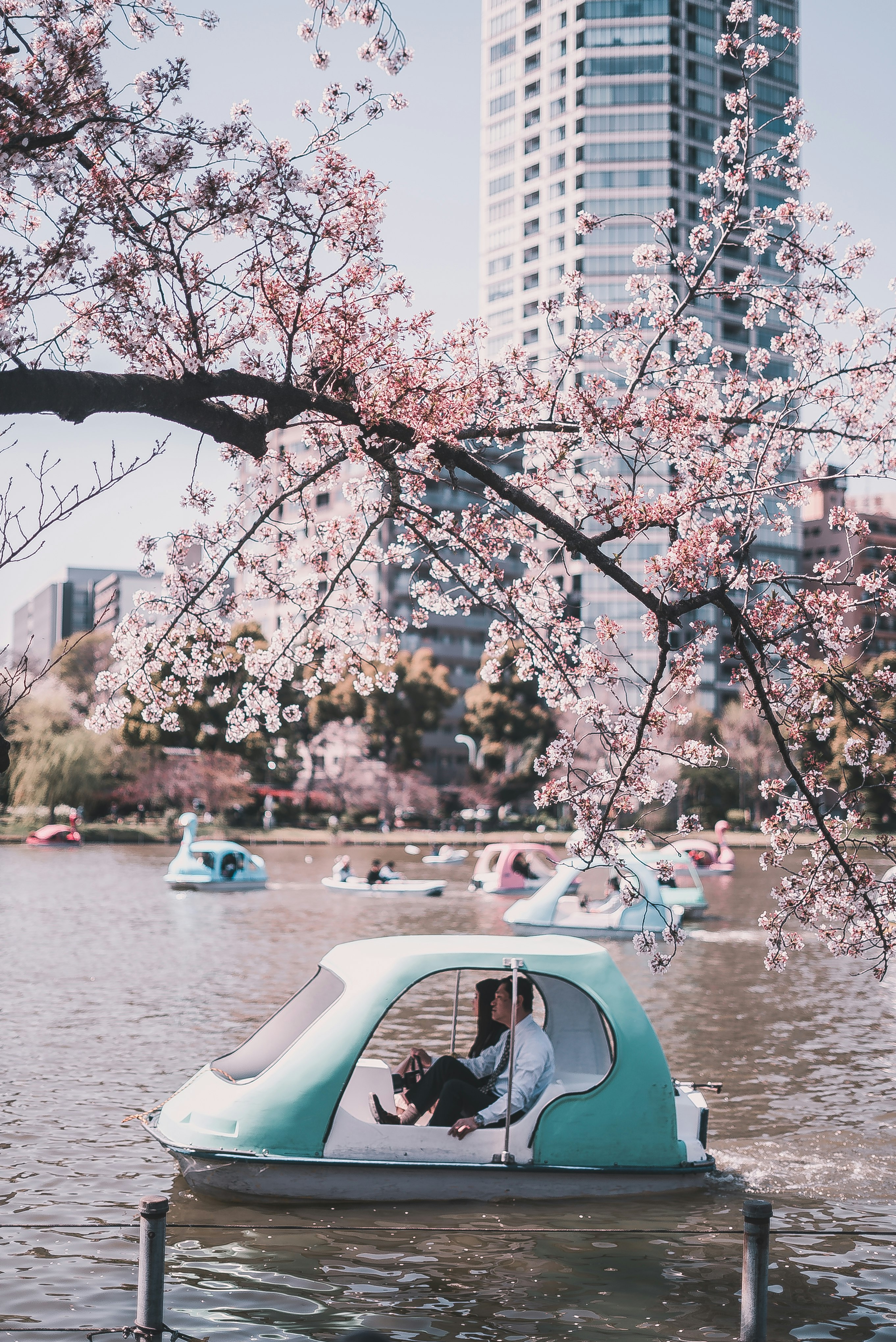 persons on boat